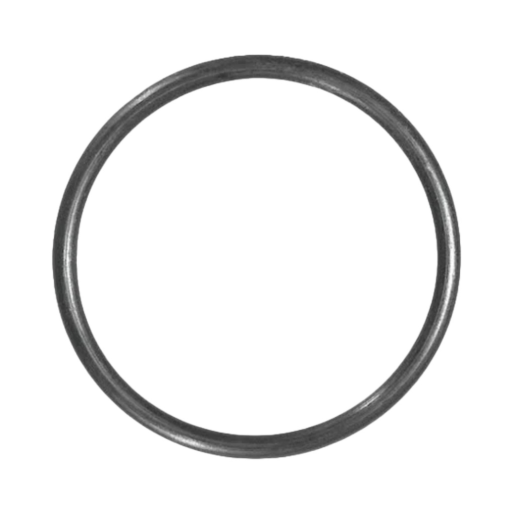 O-Ring For Brominator Tube (4505080)