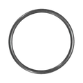 O-Ring For Brominator Tube (4505080)