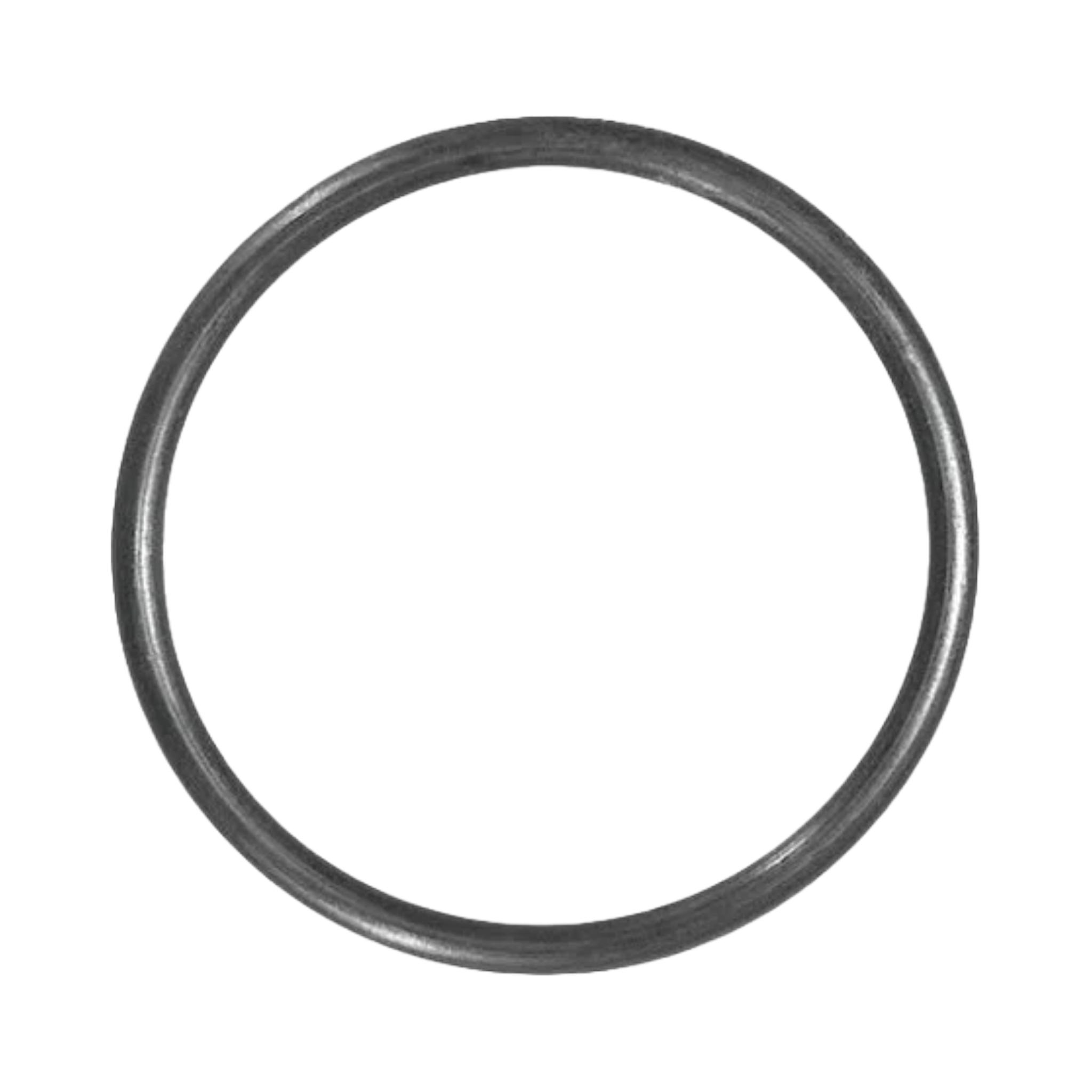 O-Ring For Brominator Tube (4505080)